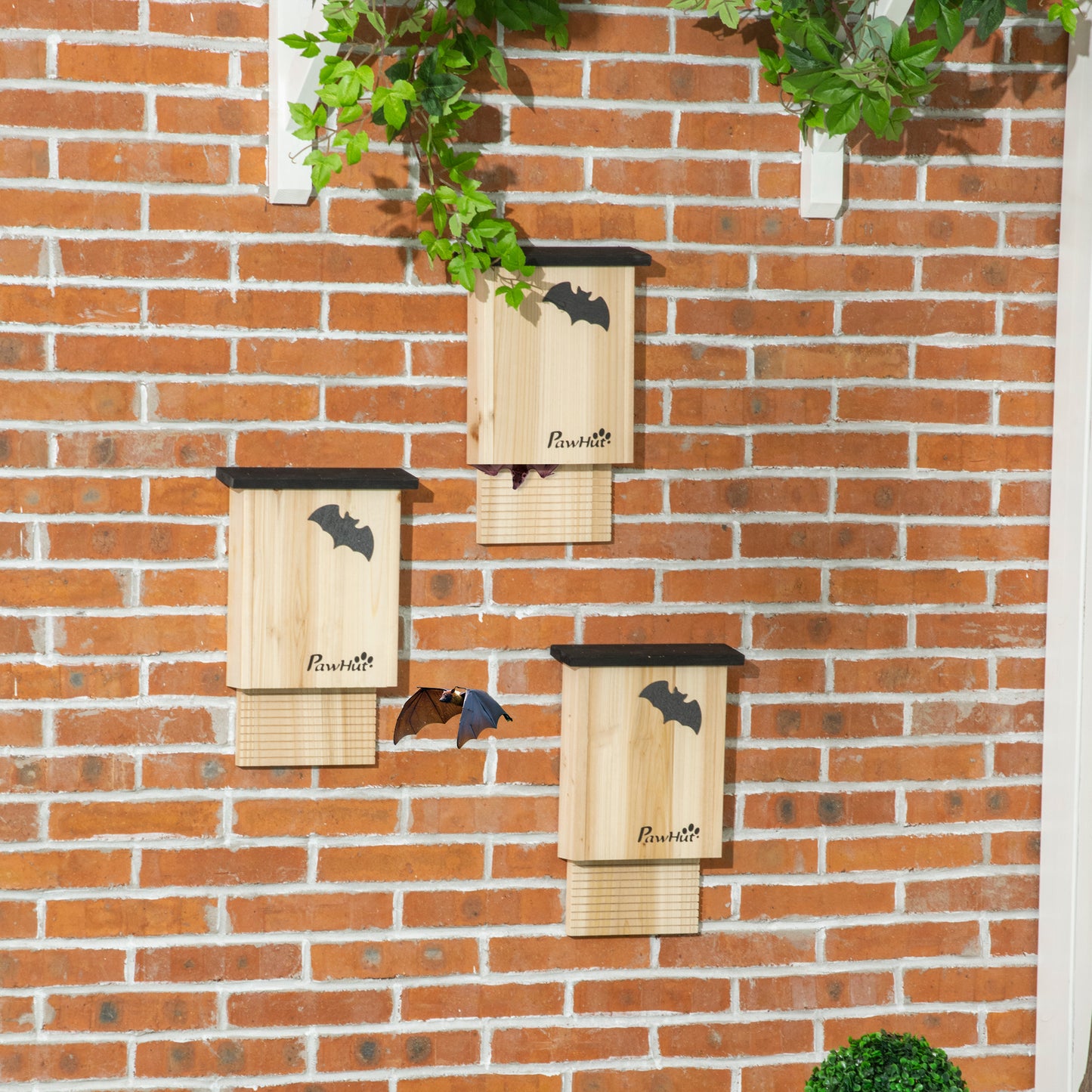 Set de 3 Adăposturi pentru Liliac din Lemn de Brad pentru Exterior, 25x6x37.5 cm, Lemn Natural