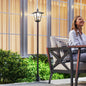 Set 2 Lampi Solare de Gradina, Lumini de Exterior Solare cu 2 LED, Aprindere Automata si Durata 6 Ore, Negru