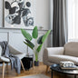 Planta Artificiala Strelitzia – 120 cm pentru Interior/Exterior