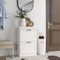Dulap Modern pentru Pantofi cu 2 Sertare Rabatabile, Capacitate 10 Perechi și Raft Reglabil, 54x24x82,5 cm, Alb