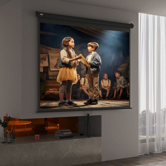 Ecran Proiecție 100" Reglabil cu Montare pe Tavan și Perete, Format 4:3, 203x152cm, Alb și Negru