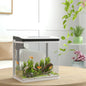 Acvariu 13L din Sticla – cu Filtru, LED & Pompa pentru Pesti