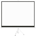 Ecran Proiector 120" Format 4:3 din Material Textil, Plastic și Metal cu Trepied, 244x190 cm, Alb