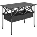 Masă de Picnic Pliabilă și Portabilă  cu Plasă de Depozitare și Geantă de Transport, pentru Camping și Exterior, Neagră