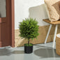 Plantă Artificială Cedru Rezistentă la Raze UV cu Ghiveci, Ø14,5x55 cm, Verde